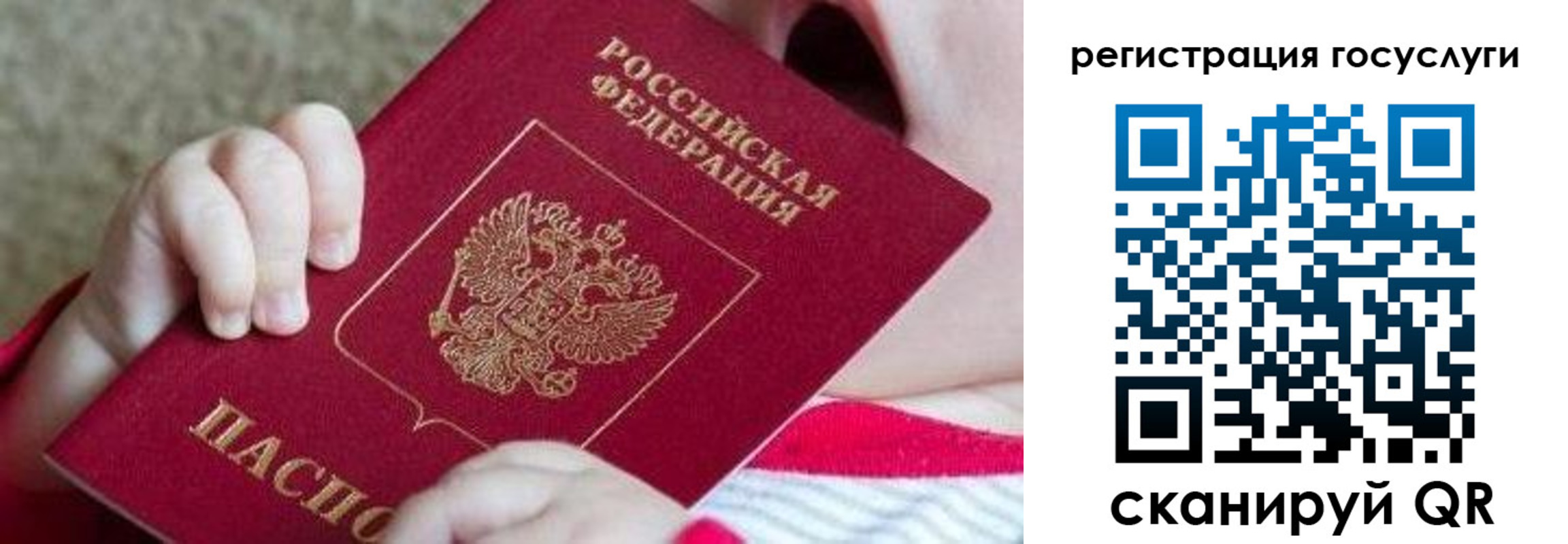 временная регистрация для всех в Немане